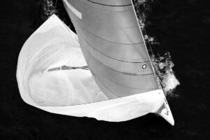 50% OFF! G219 - Wright on White- 11" x 16" Unframed Limited Edition Print